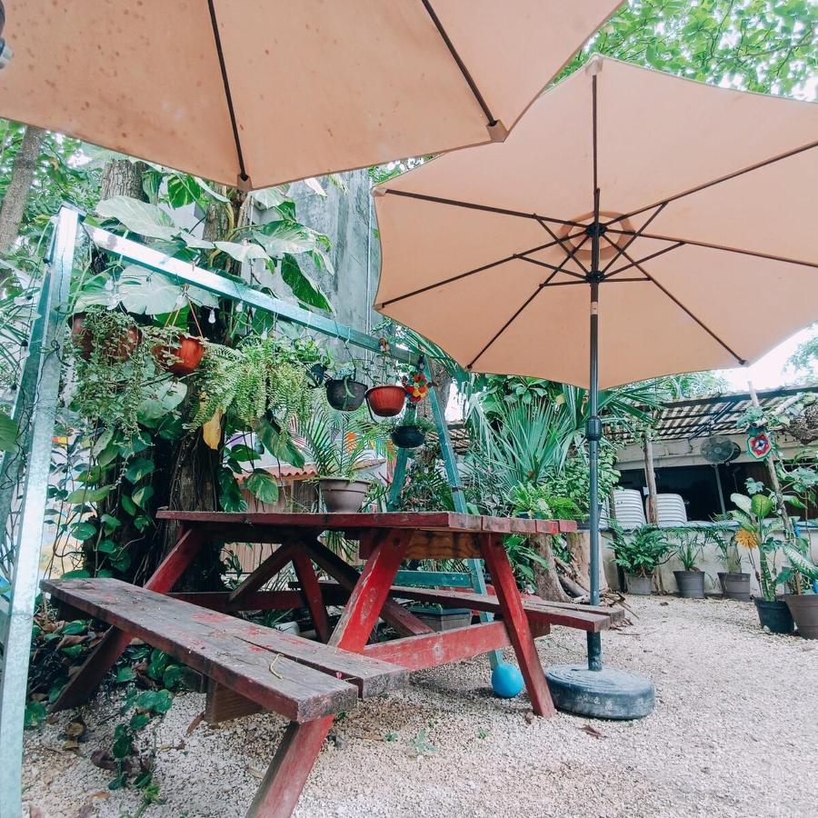 Educarte Department - 5