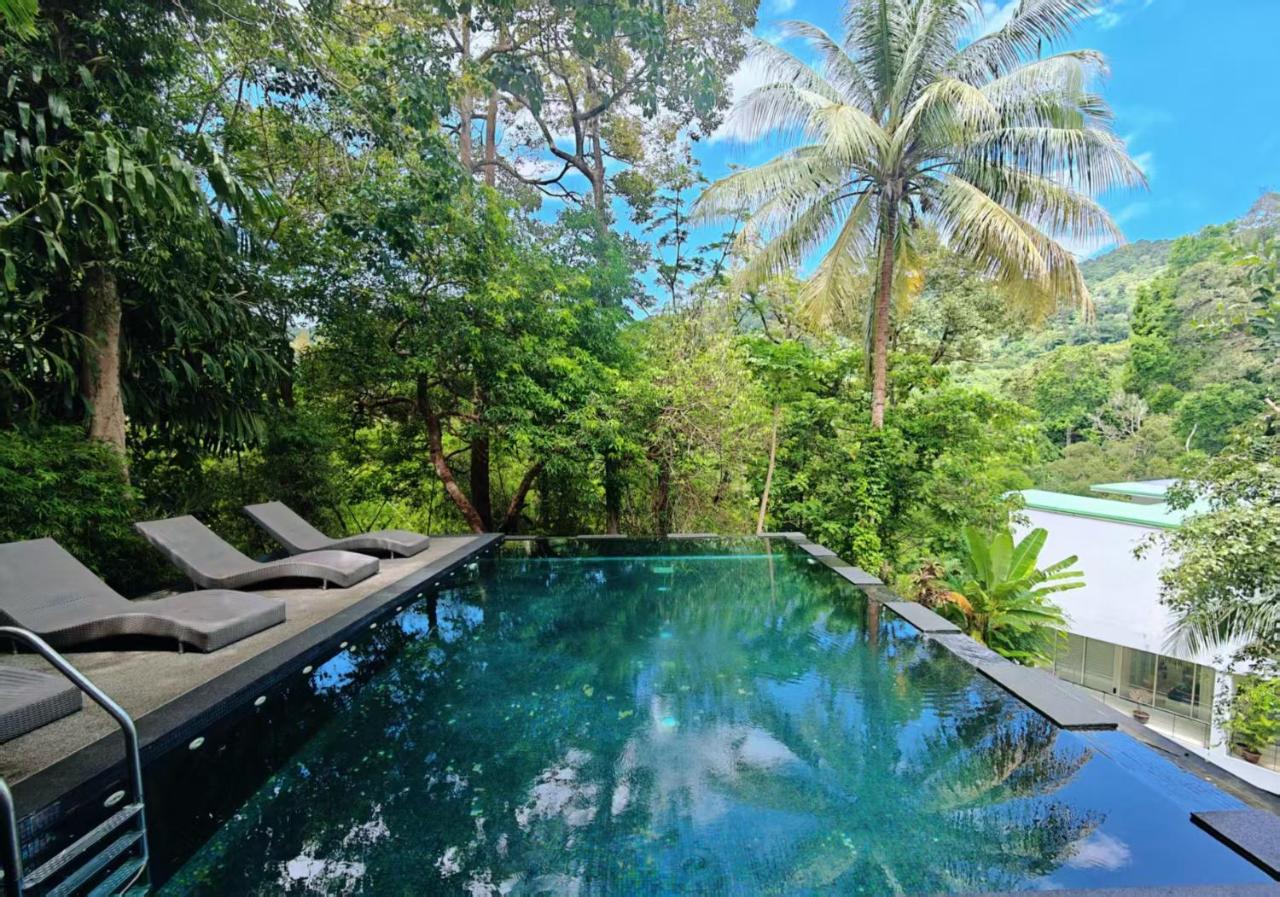 Kamala Natural Modern ApartmentHigh Speed WiFiBig Living Room - 4