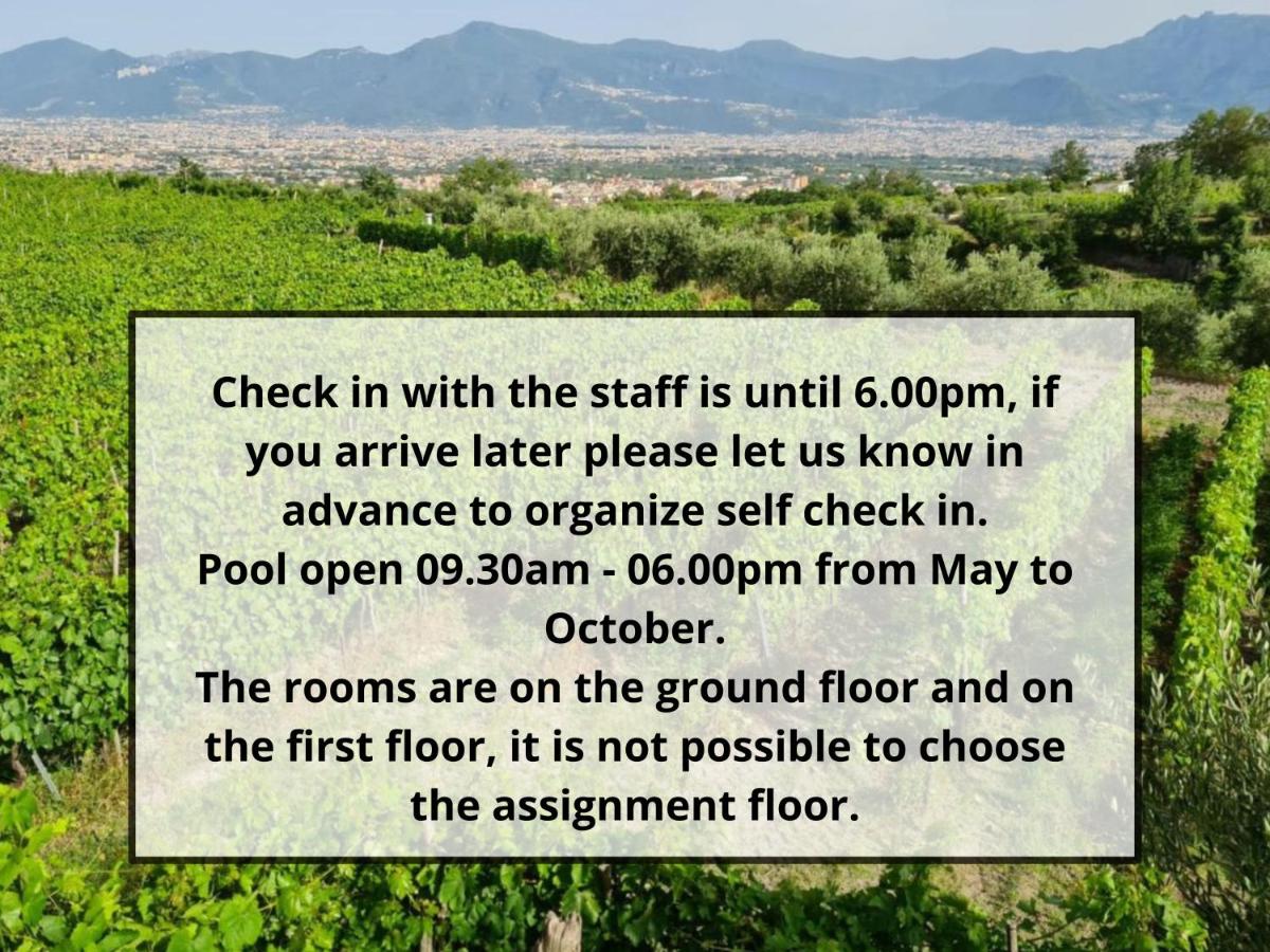 Vesuvio Inn Bed & Wine Experience - 2