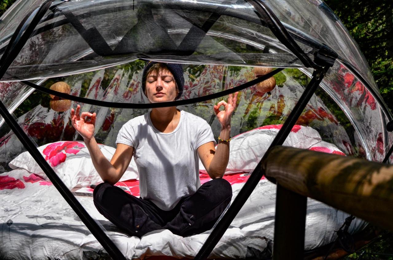 Nuit insolite bulle forêt glamping