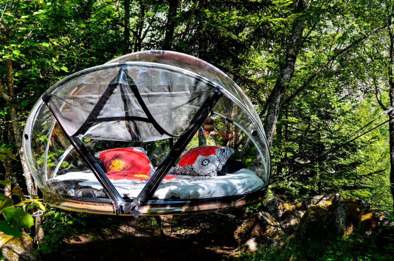 Nuit insolite bulle forêt glamping