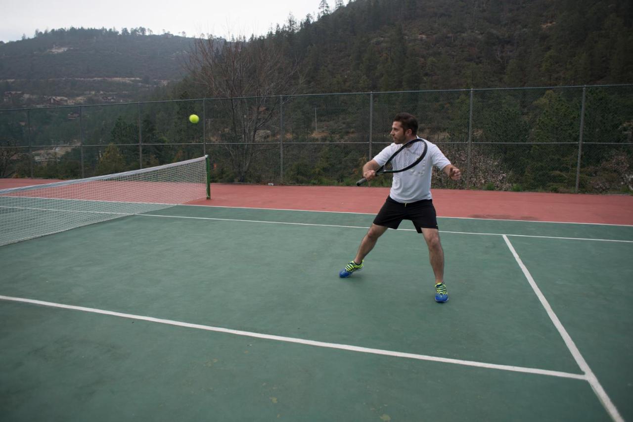 Tennis court: Bosques de Monterreal