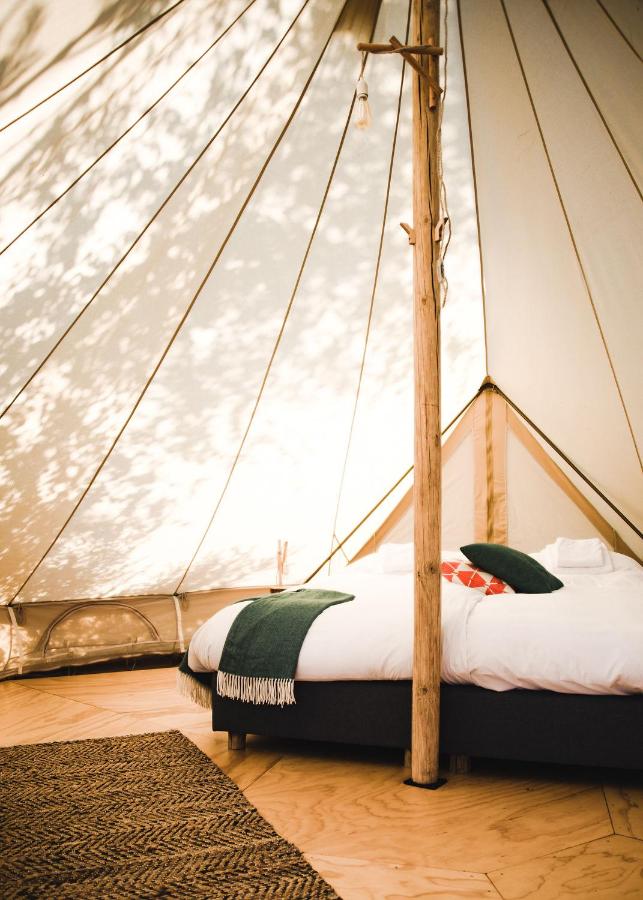 Zwier, de Vrijhaven - 2