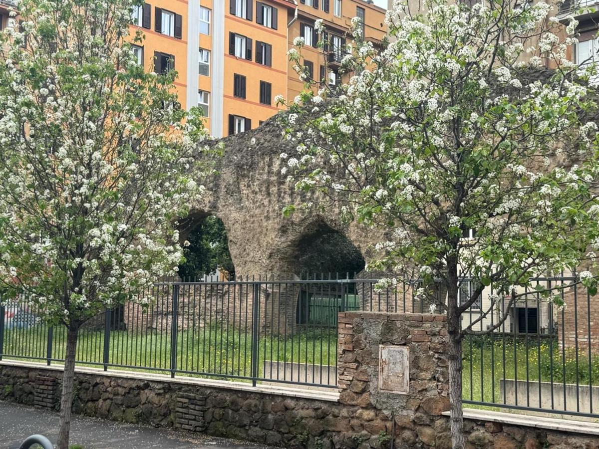 Testaccio Room in Rome - 4