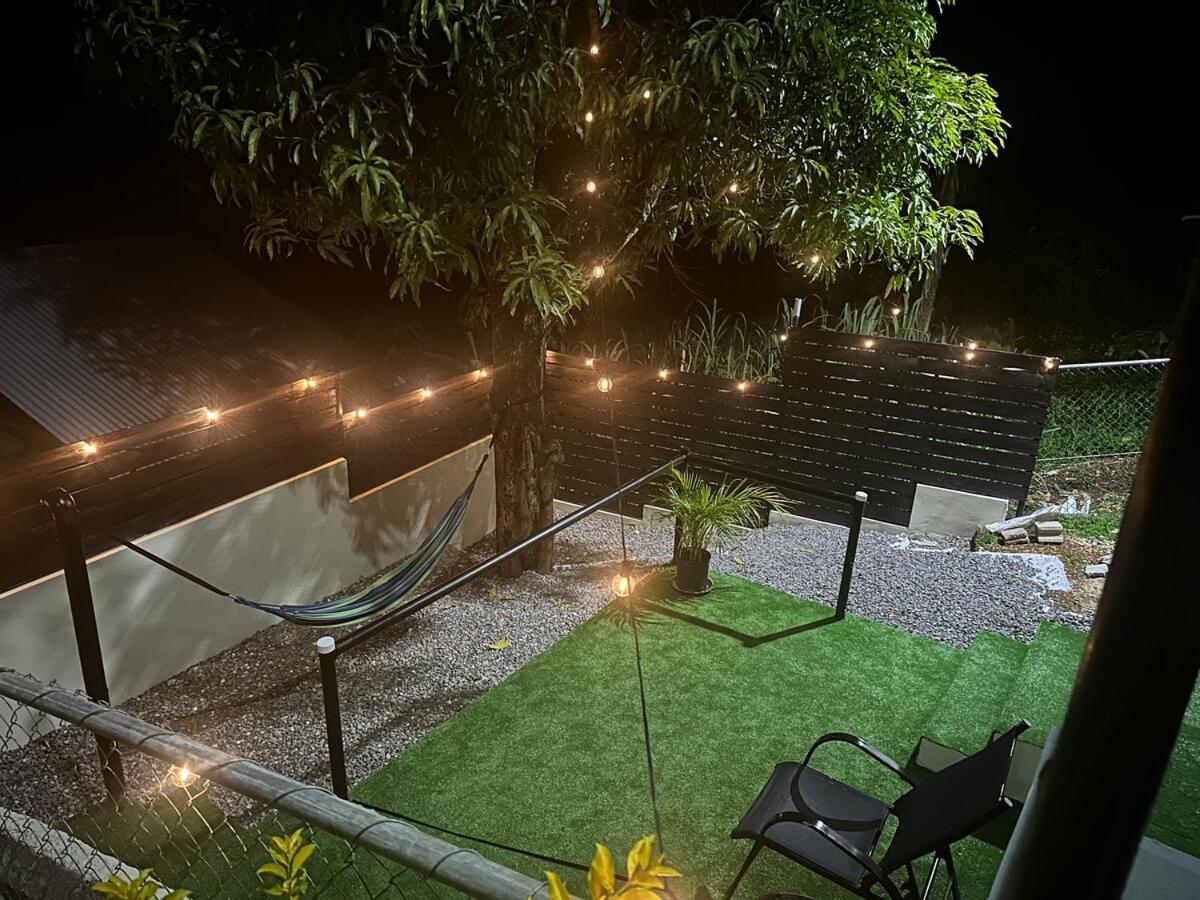 Bird Bliss Burlington Portland - 2