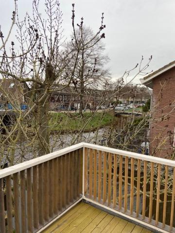 Tinyhouse Woody at the Water - 2