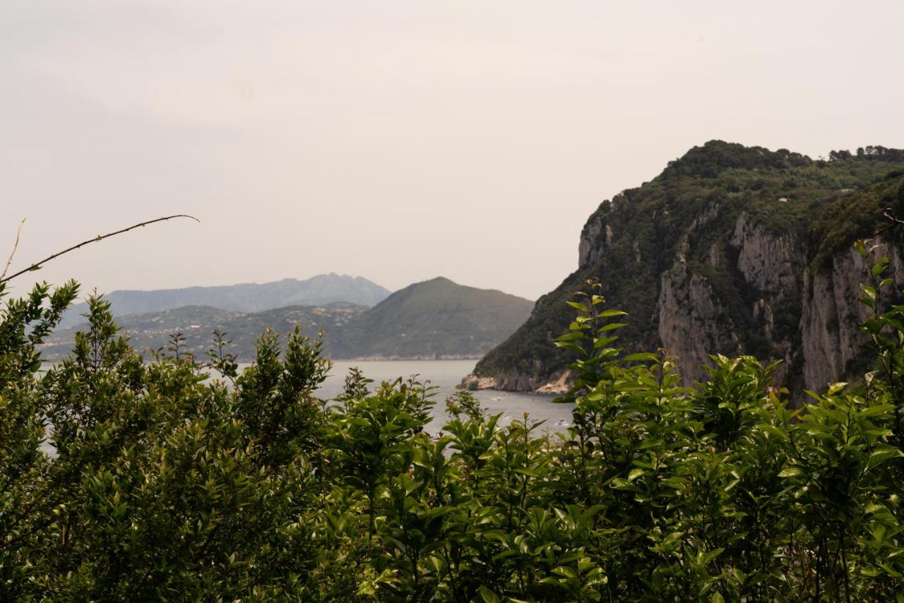 Capri Designer House by Elite Villas - 4