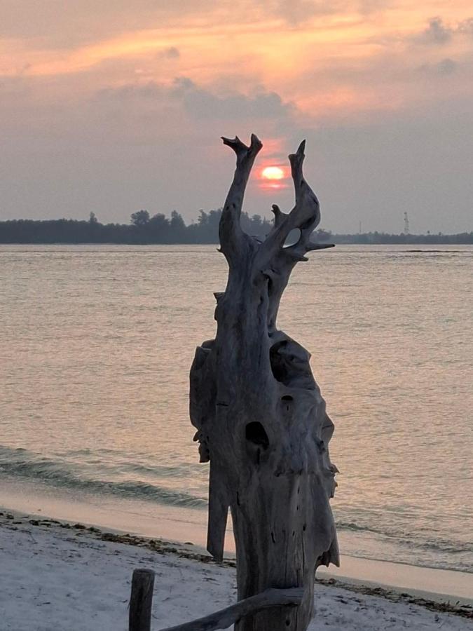 Dhontakuru Guest House - 5