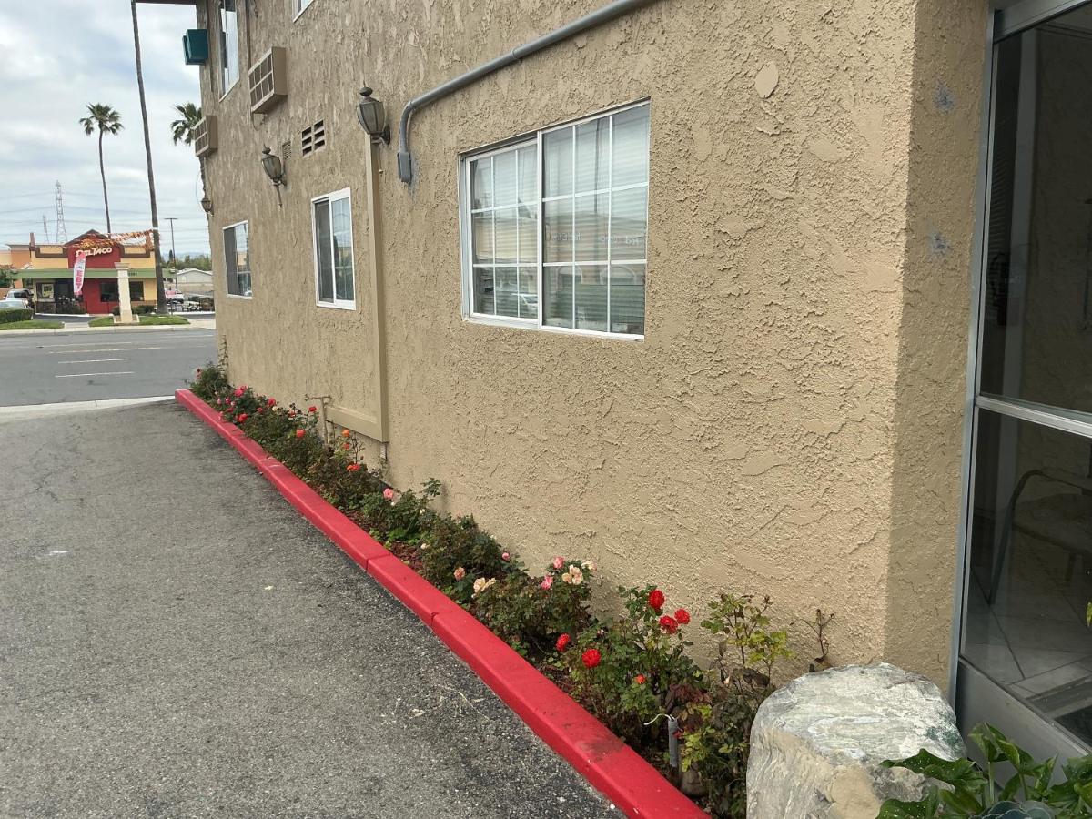 Crazy 8 Motel — photo 21