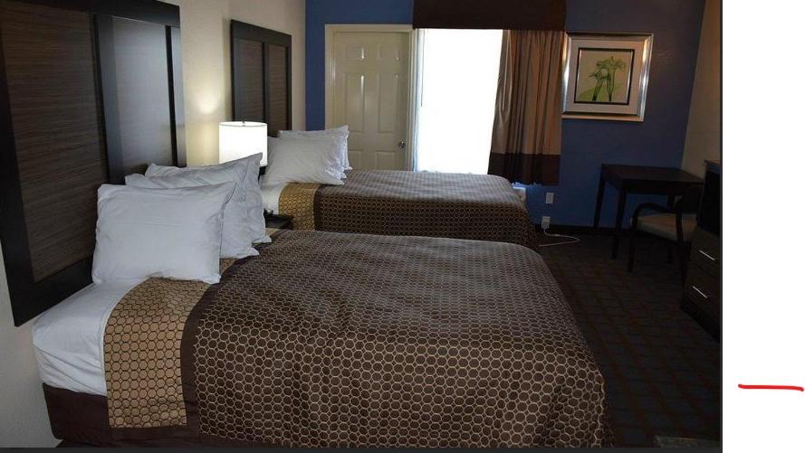 Carolina lodge — photo 4