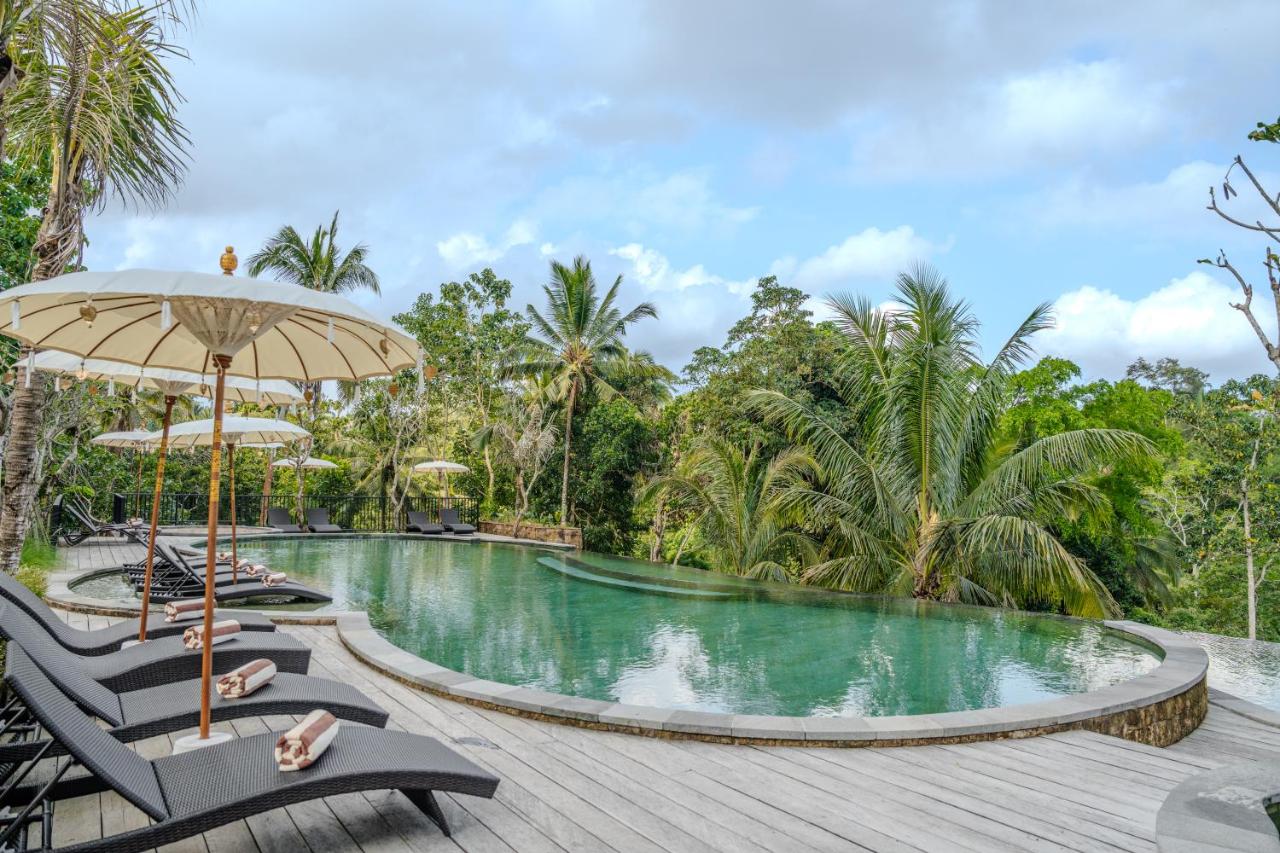 Hoshi Jungle Resort by Dhananjaya Hospitality - 2