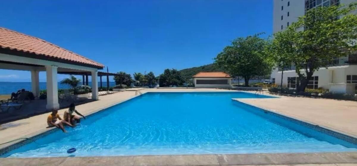 Ava-Reign's View - 5