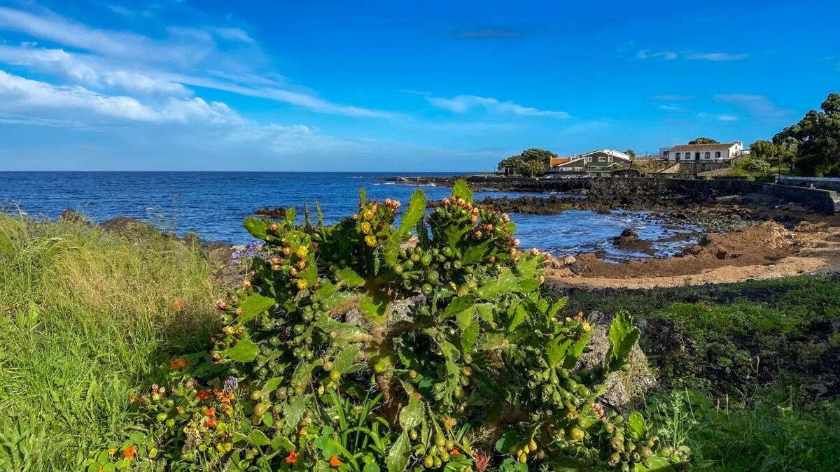 Two Bedroom Apartment R C Porto Martins Pools - 5