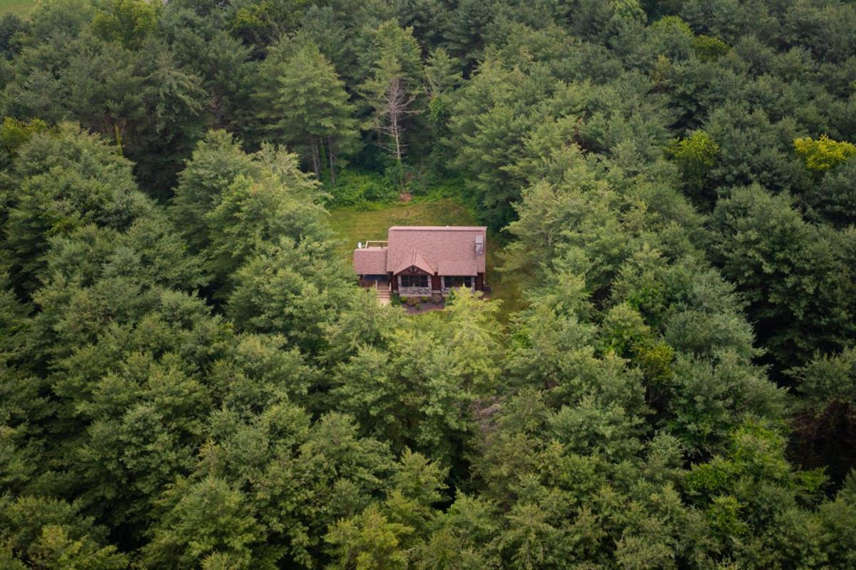 Bauer's Spruce Island Chalets — photo 6