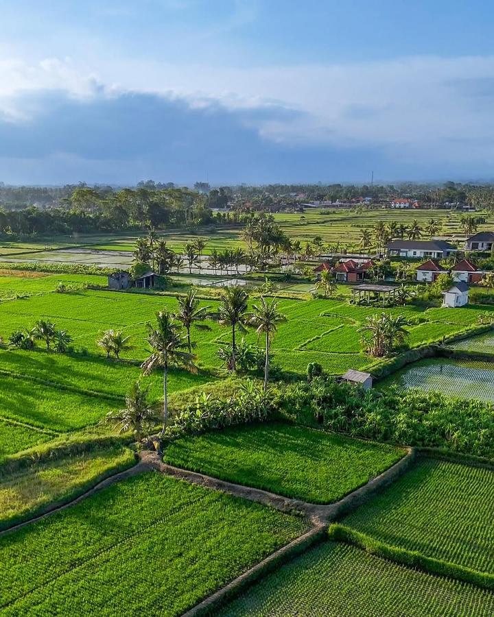 DITUJU Ubud by GenuineHost - 5