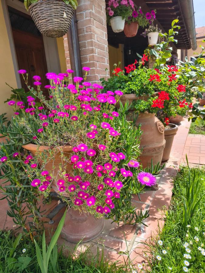 La Giravolta Loft URBAN & GEA - 3