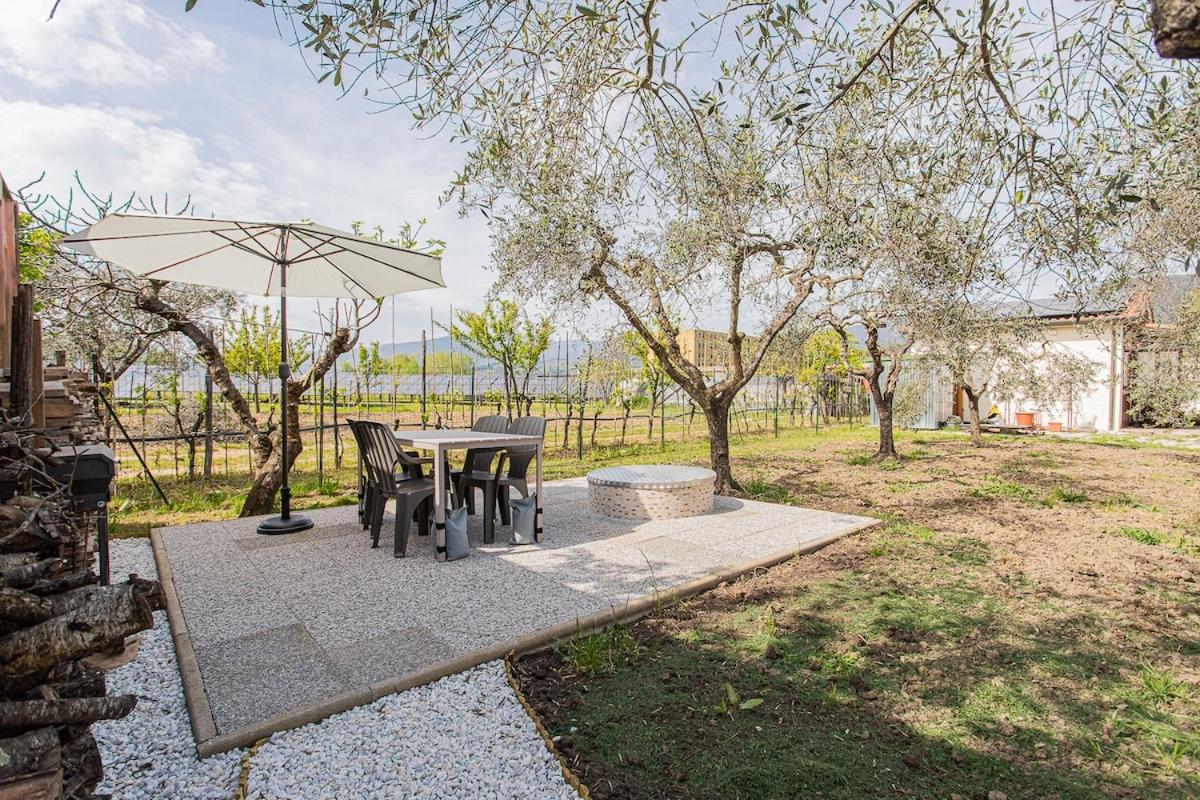 Oasi in Prato private parking - 5