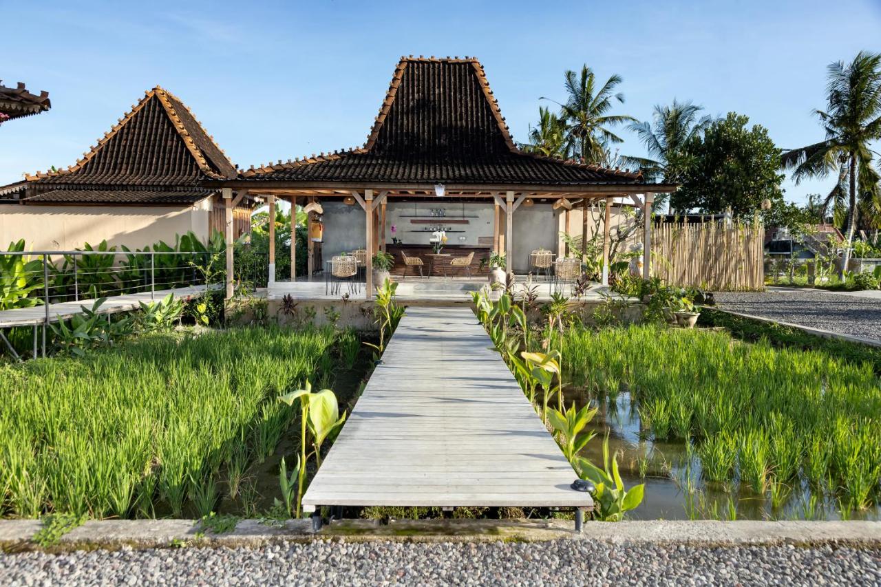 DITUJU Ubud by GenuineHost - 3