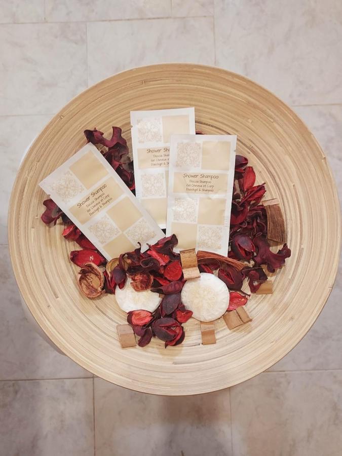 Apartment in Castle 27 Leonardo da Vinci street - 4