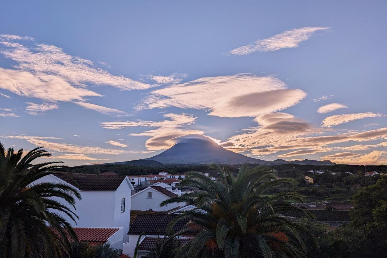 Loving Strangers Hostel - 5