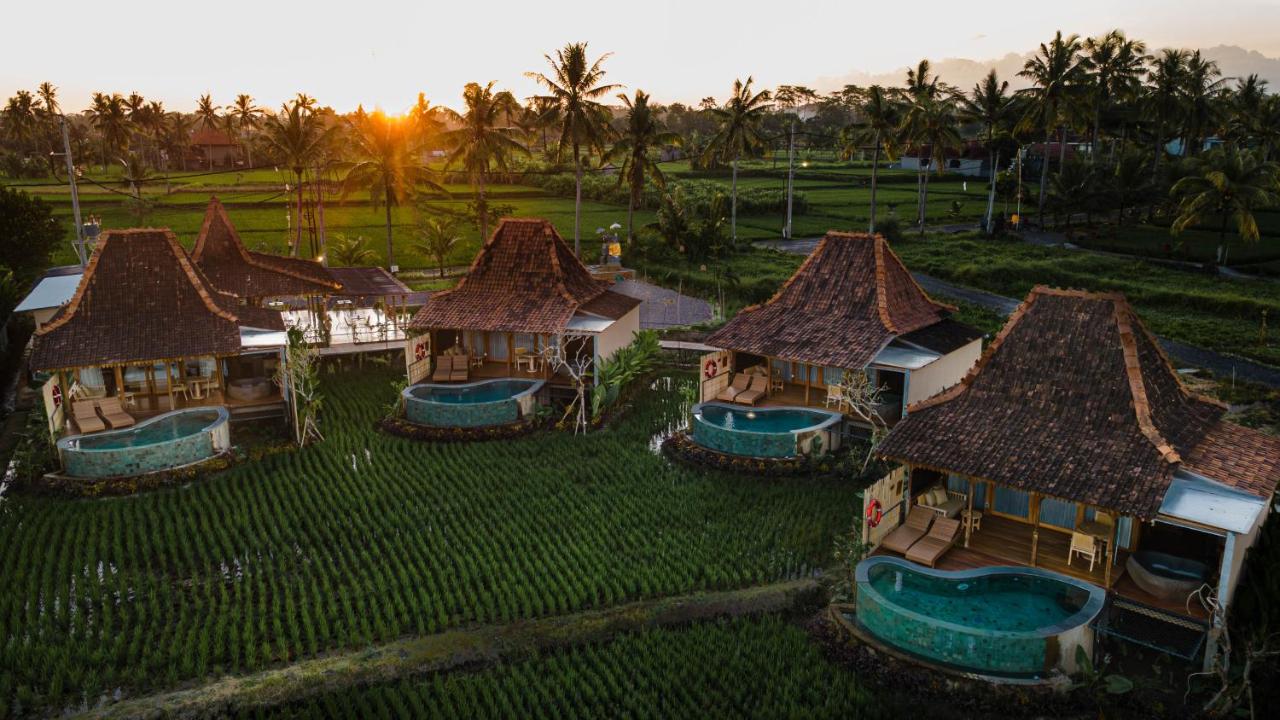 DITUJU Ubud by GenuineHost - 4