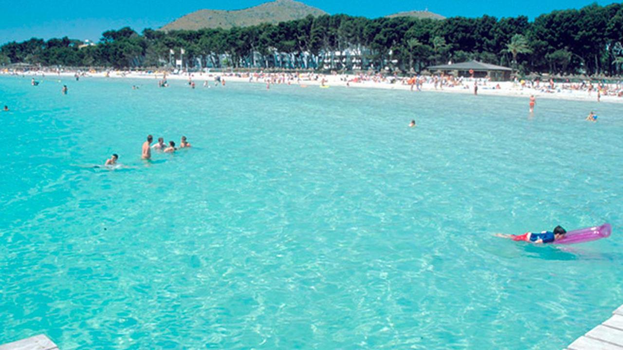 Apartment Just on the beach in Port Alcudia - 5