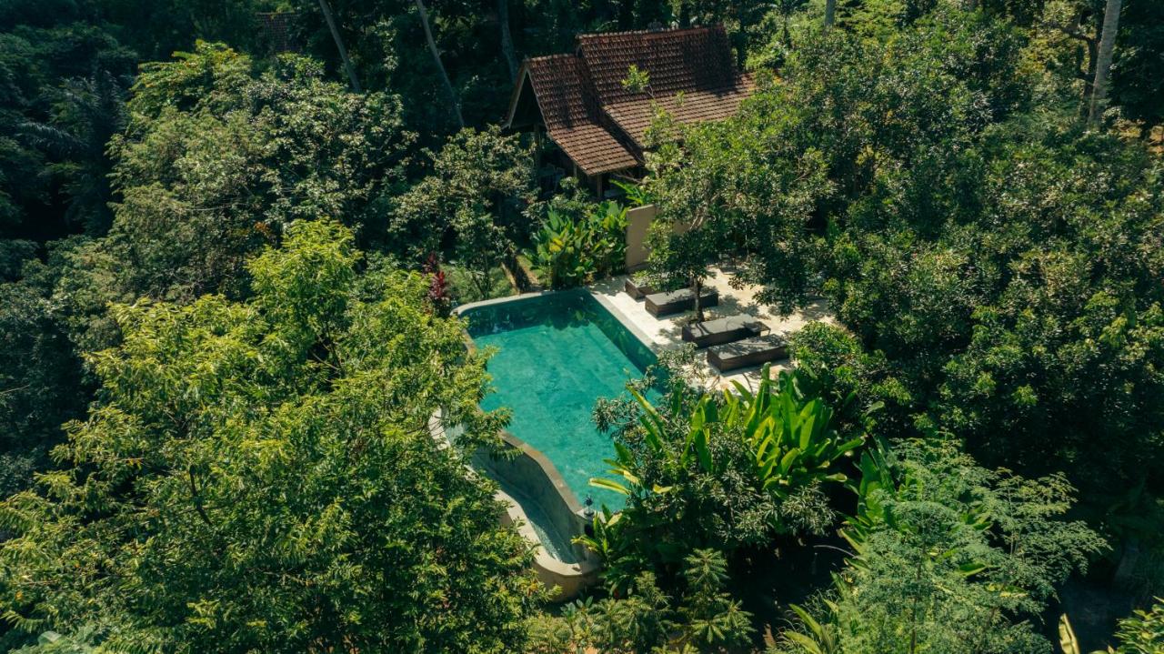 Tresna Bali Luxury Cabins Ubud - 3