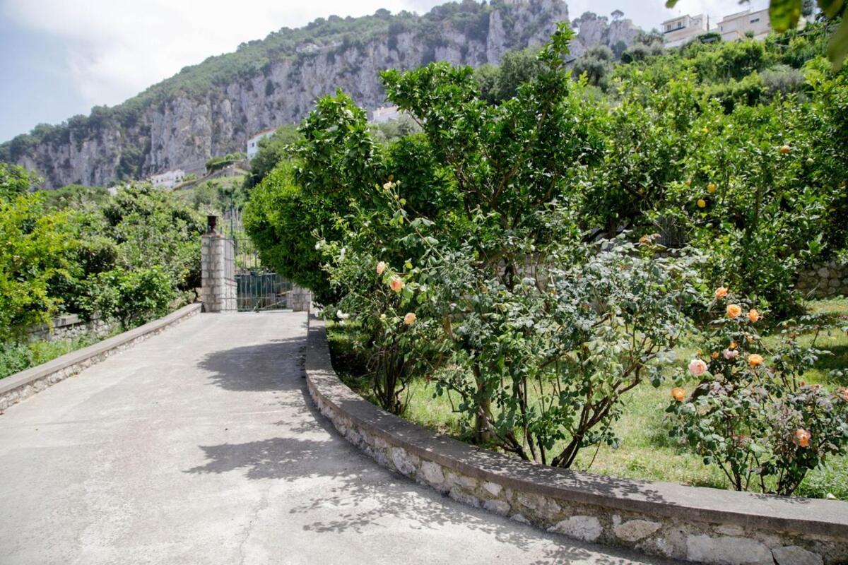 Lemon Grove, Capri - 5