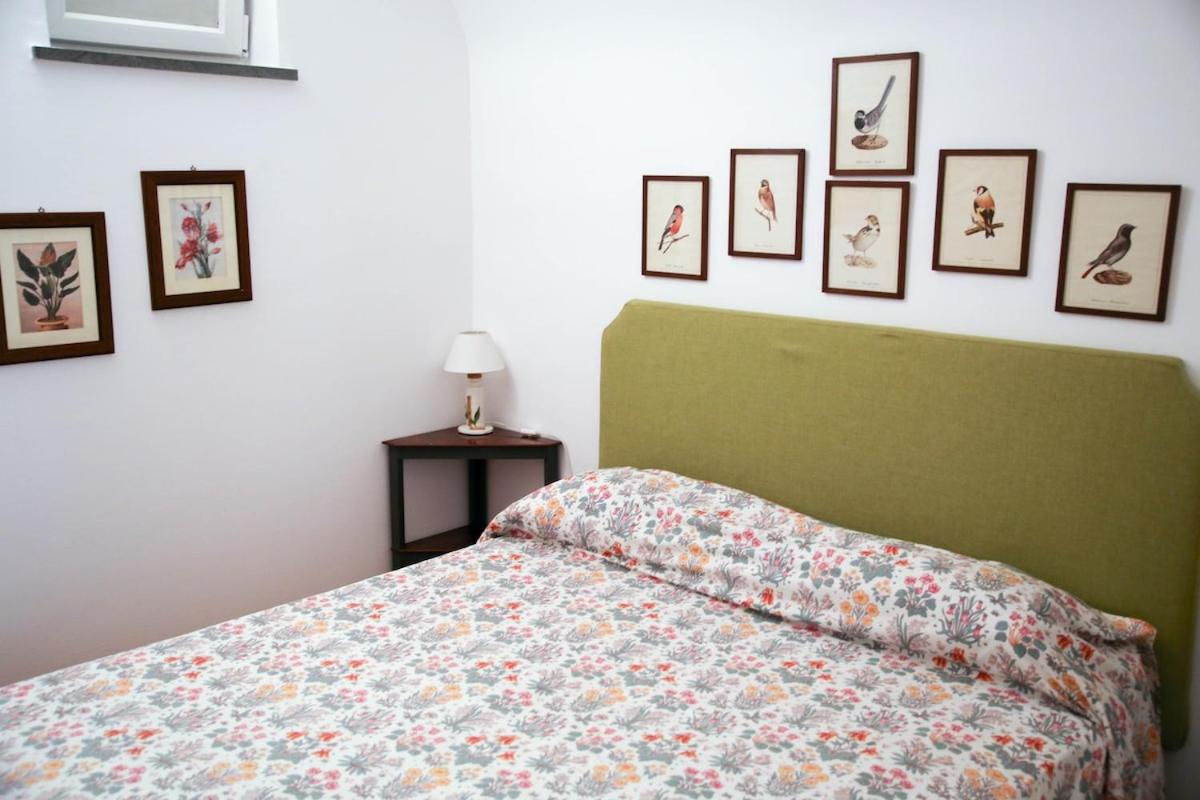 Lemon Grove, Capri - 4