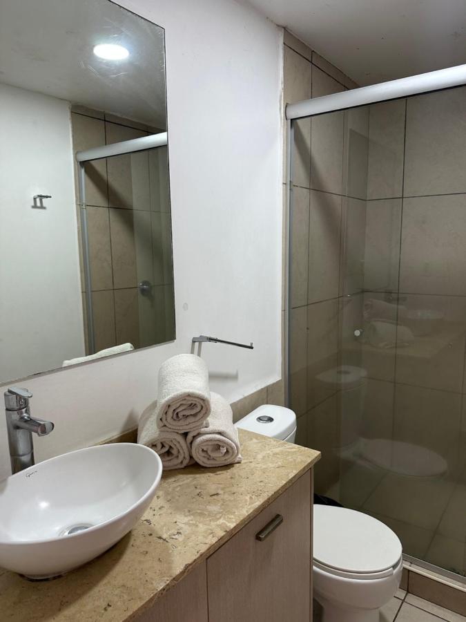 Departamentos de Lujo Alameda - 3