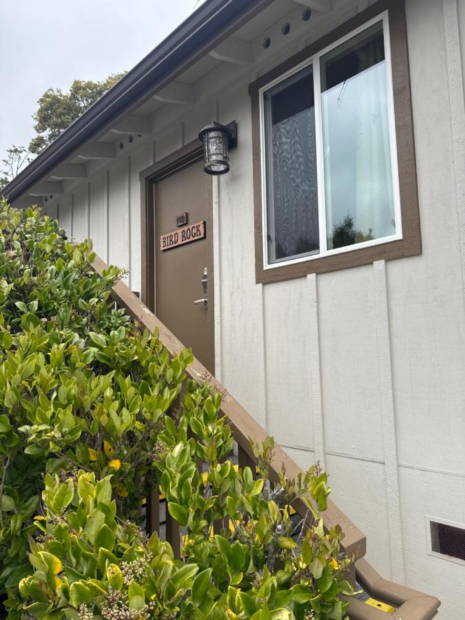 Carmel Resort Inn — photo 19