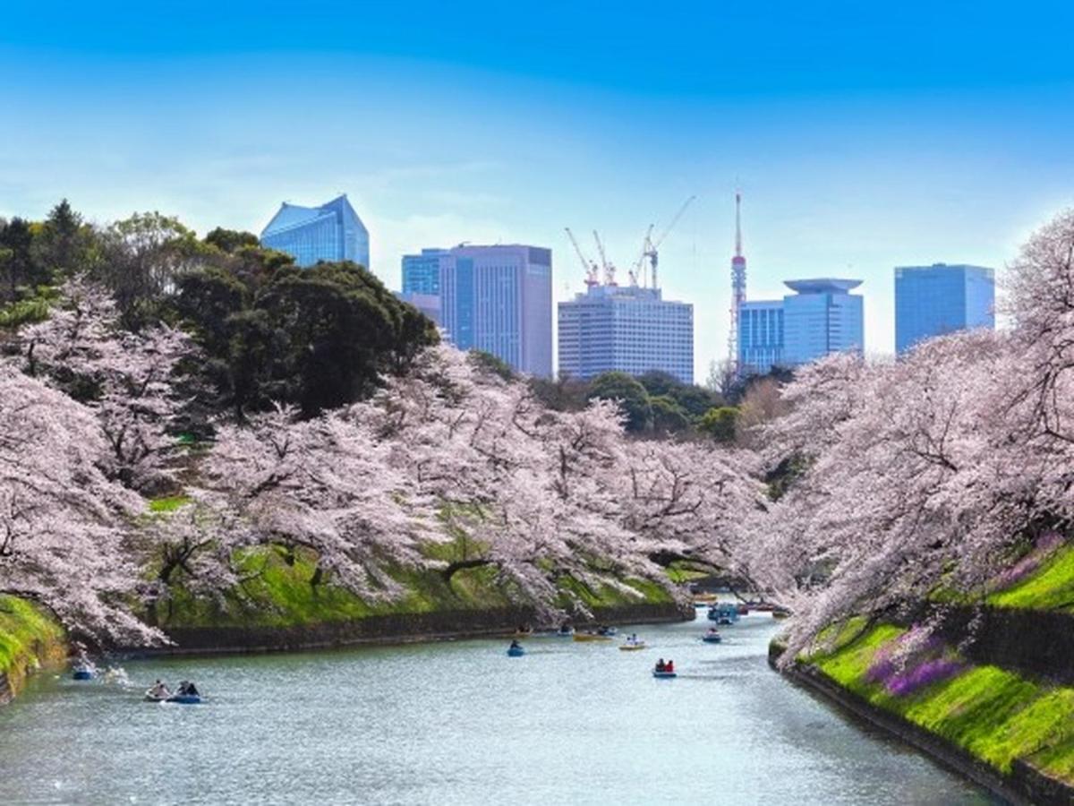 APA Hotel Suidobashi Ekimae - 5