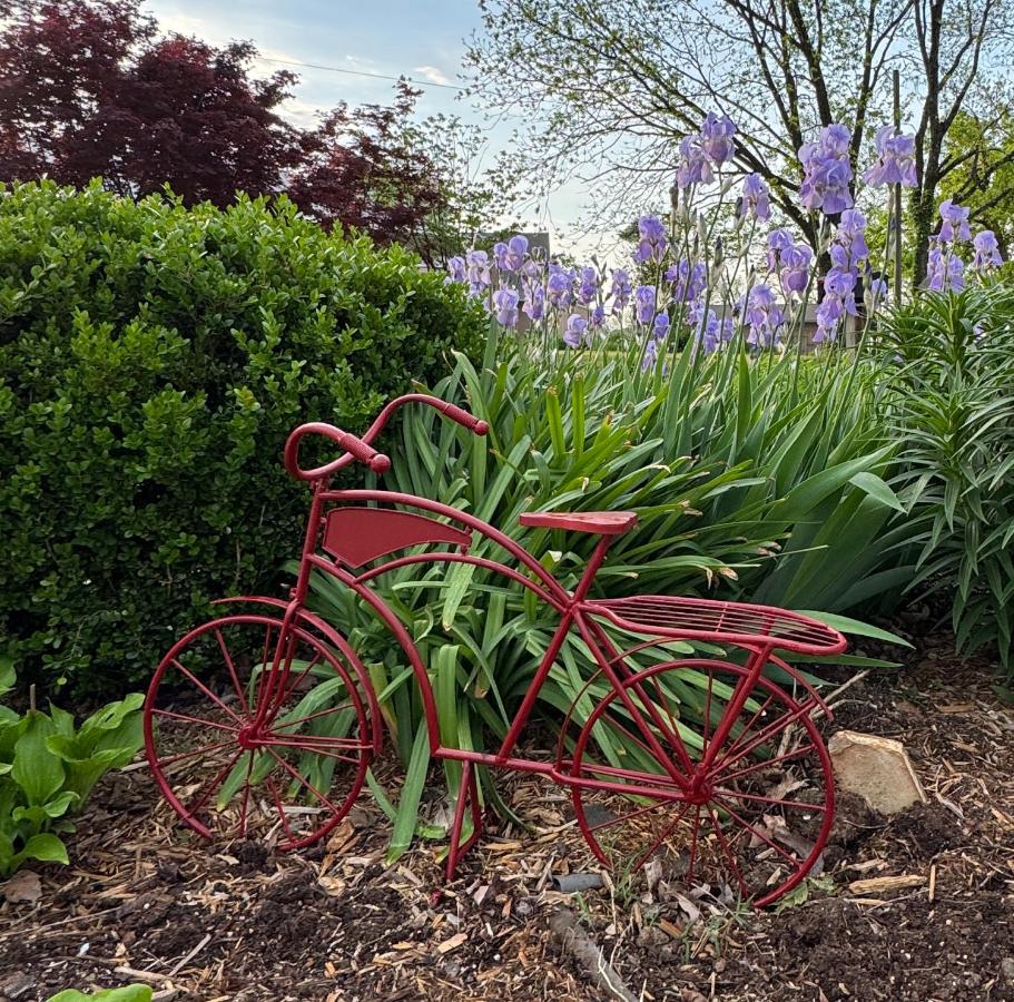 Ozark Mountain Inn — photo 18