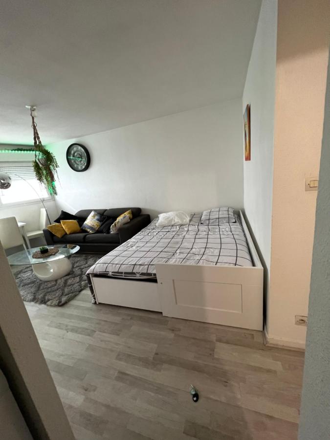 Appartement fonctionnel centre ville - 2