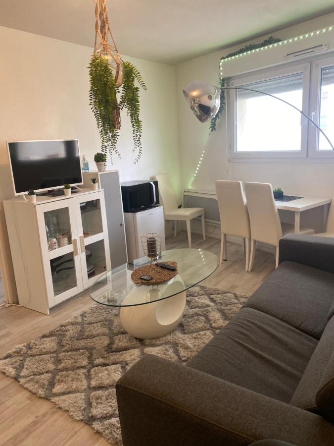 Appartement fonctionnel centre ville - 3