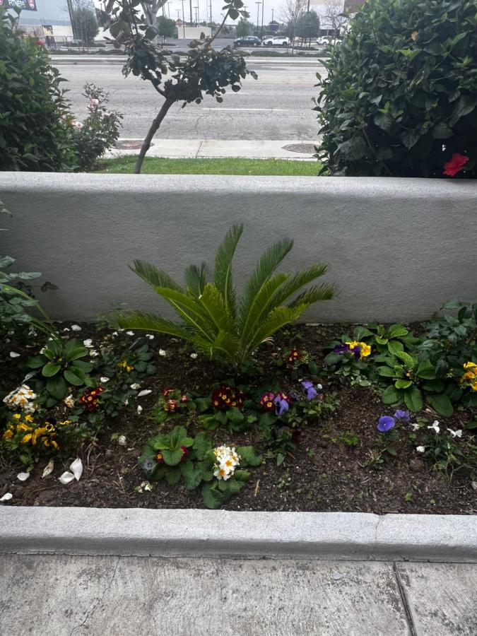 El Segundo Inn — photo 9