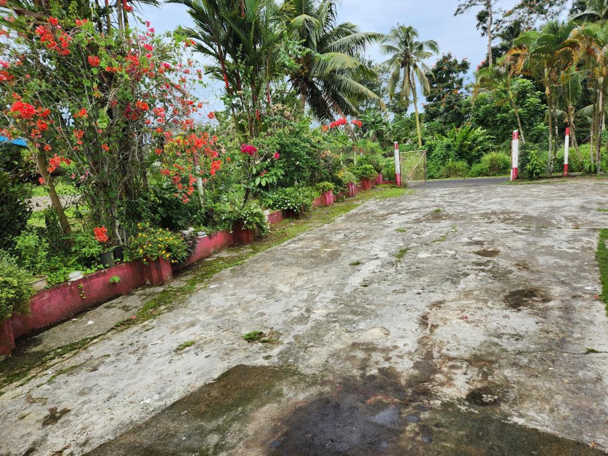 Cozy Corner Stays - 5