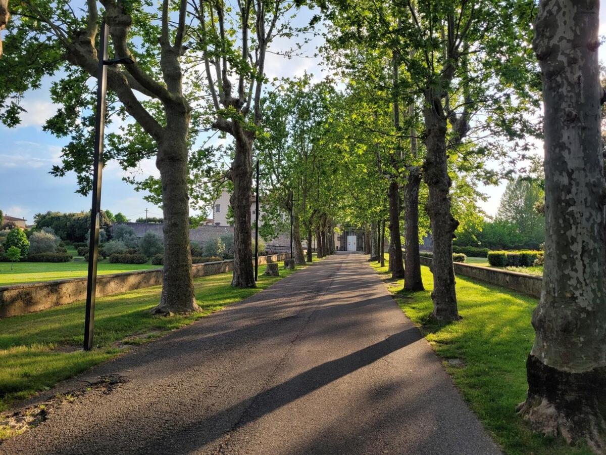 Casetta Il Giglio - 5