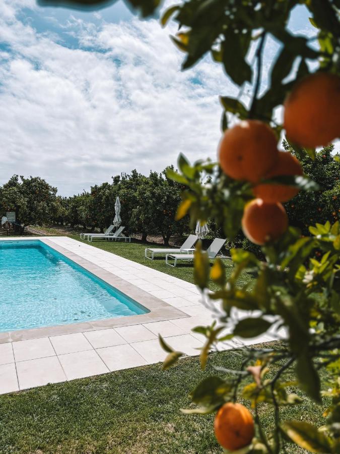 Quinta Dos Perfumes - 4