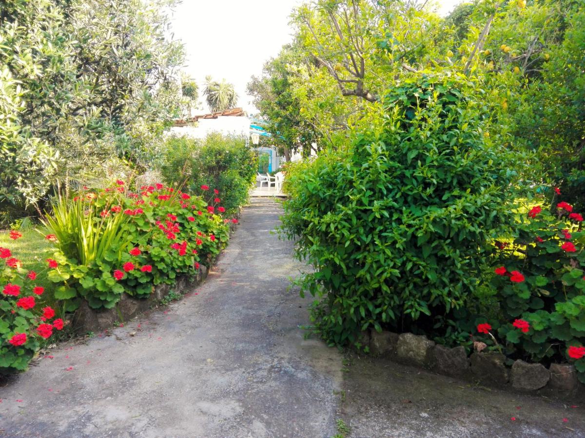 Le Querce photo