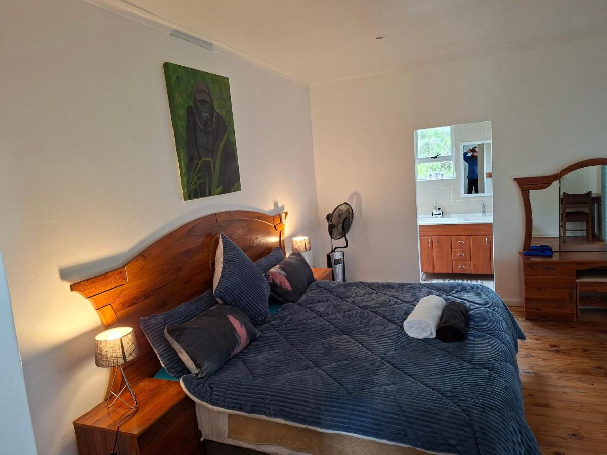 Leigh's home with dogs - 2