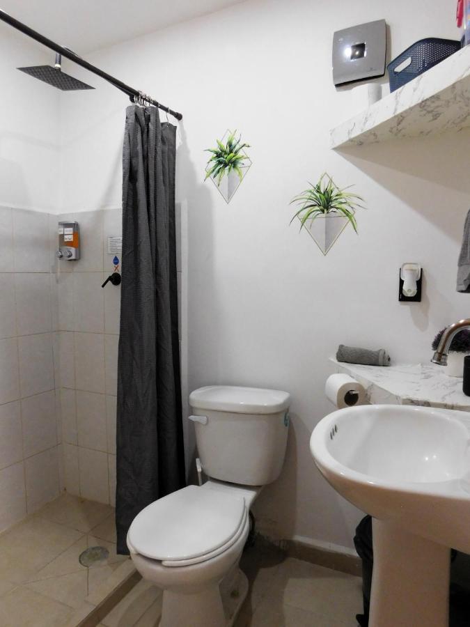 Depa privado Estadio GNP -Foro Sol-, Palacio de los Deportes - 2