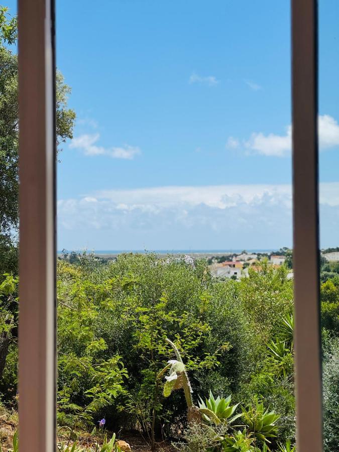 Alojamento Casa Maria - 3