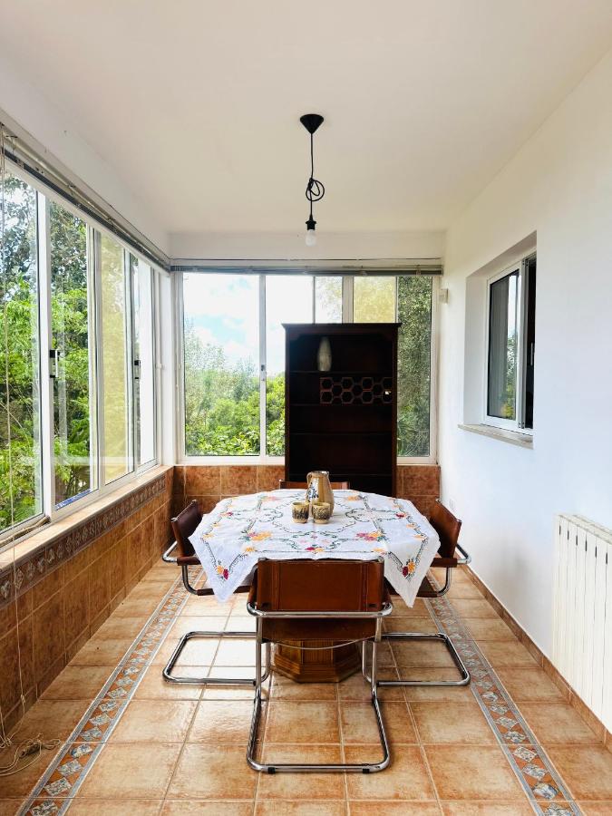 Alojamento Casa Maria - 4