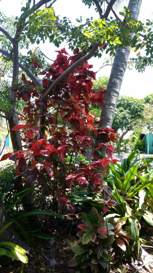 Coconut Cay Resort — photo 15