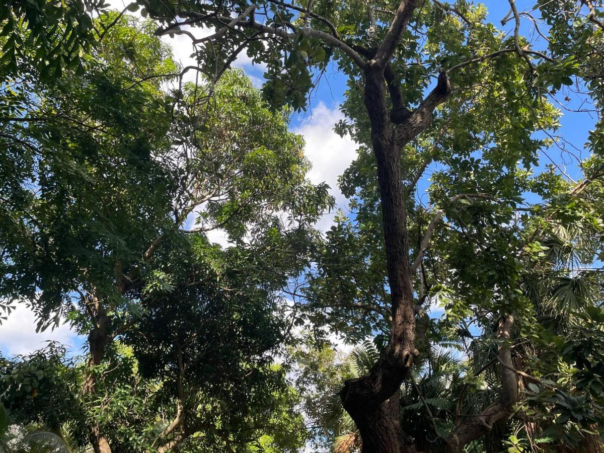 Tropical Paradise in Miracle Mile with Parking - 2