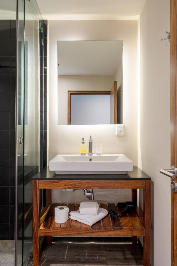 Loft Con Terraza Polanco - PINO - 2