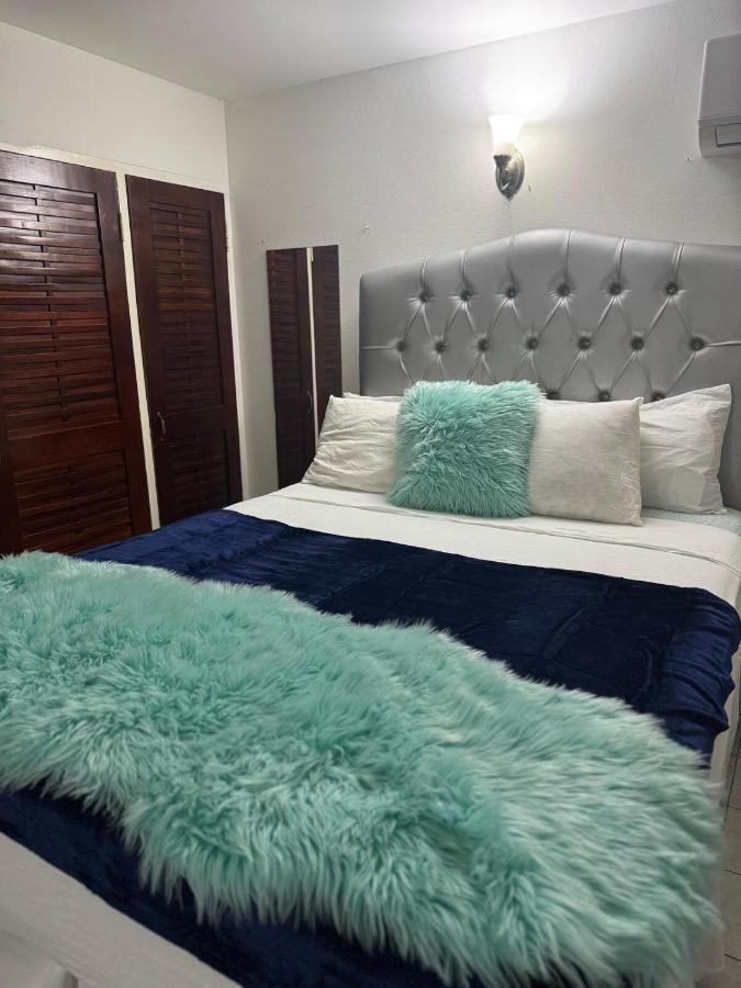 Oxford Manor Apt - Kingston - Economy stay - 2