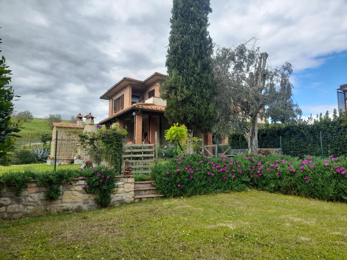 Agriturismo Santa Adriana - 5