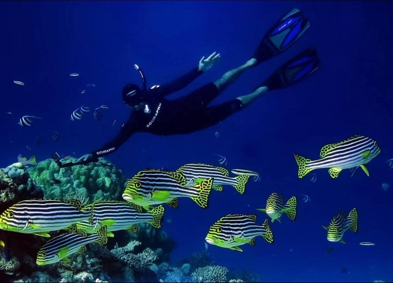 Beach Inn Vashafaru - 5